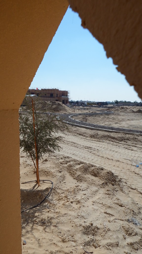 Farm villa construction from Service buildings at Abu Dhabi